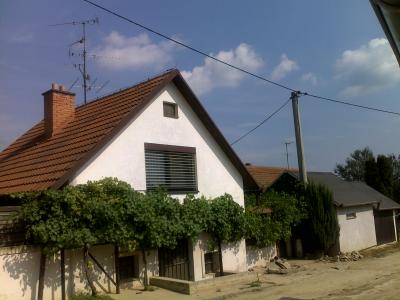 Vinařský domek - ubytování Bulhary