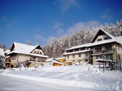 HOTEL PODLESÍ - ubytování Sněžné
